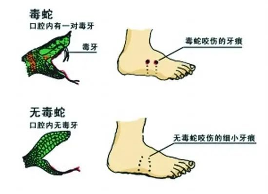 家属质疑医院延误救治！当地卫健委介入！A